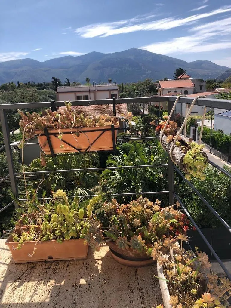 Appartement La Casa Del Polpo à Palerme Séjour chez l'habitant